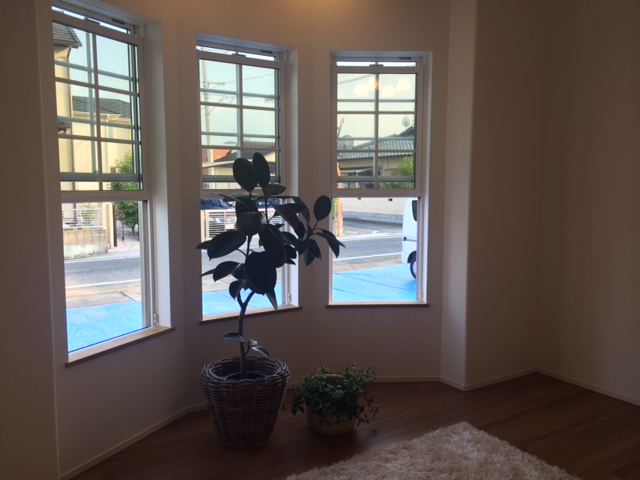 5ボウウィンドウ